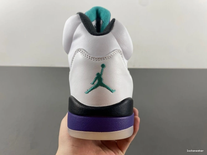 Rep LUCY (2013) Grape 5 Jordan Retro 136027-108 Air 0629